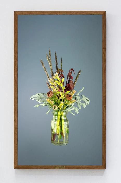 Project Bouquet series banner